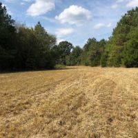 204.9 Acres in Lafayette County in Abbeville  MS images 3