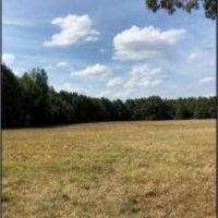 204.9 Acres in Lafayette County in Abbeville  MS images 4