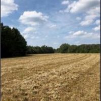 204.9 Acres in Lafayette County in Abbeville  MS images 5