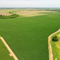 The Central Farm images 4