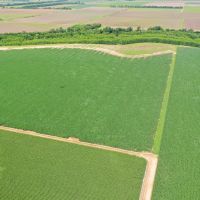 The Central Farm images 5