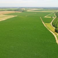 The Central Farm images 6