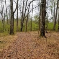 42 Acres in Copiah County in Hazlehurst  MS images 2