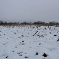 80 acres - Tillable and Hunting near Pomona Lake images 4