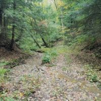 141 acres Hunting Land and Recreational Land in Prattsburgh NY