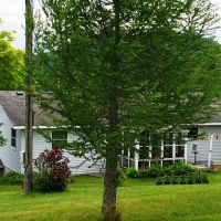 County Home and Acreage w Workshop  Hunting Land images 3