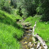 Jensen Ranch images 5