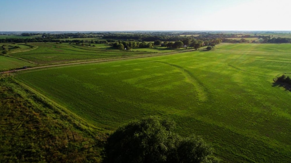 114 Acres of Beautiful Pasture featured image