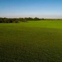 114 Acres of Beautiful Pasture images 2