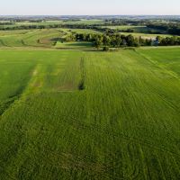 114 Acres of Beautiful Pasture images 4