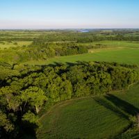 114 Acres of Beautiful Pasture images 5