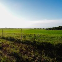 114 Acres of Beautiful Pasture images 6