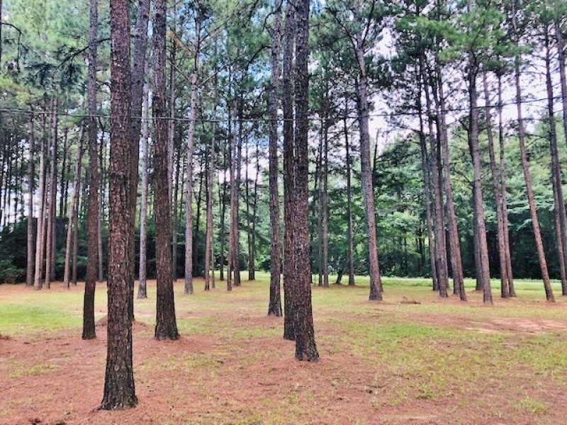 35 Acres w  Mobile home  Osyka  MS featured image