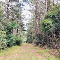 35 Acres w  Mobile home  Osyka  MS images 2