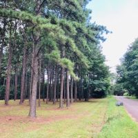 35 Acres w  Mobile home  Osyka  MS images 4