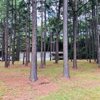 35 Acres w  Mobile home  Osyka  MS images 5