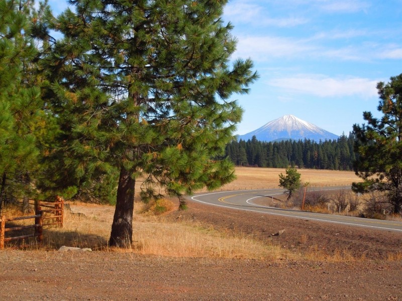 Paved access to 255 acres of timberland and meadow with an approved home site  2990819 featured image
