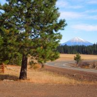 Paved access to 255 acres of timberland and meadow with an approved home site  2990819
