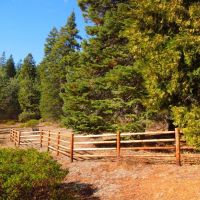 Paved access to 255 acres of timberland and meadow with an approved home site  2990819 images 2