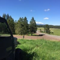 Paved access to 255 acres of timberland and meadow with an approved home site  2990819 images 3