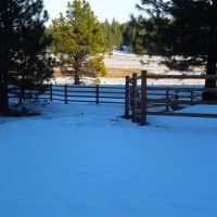 Paved access to 255 acres of timberland and meadow with an approved home site  2990819 images 4