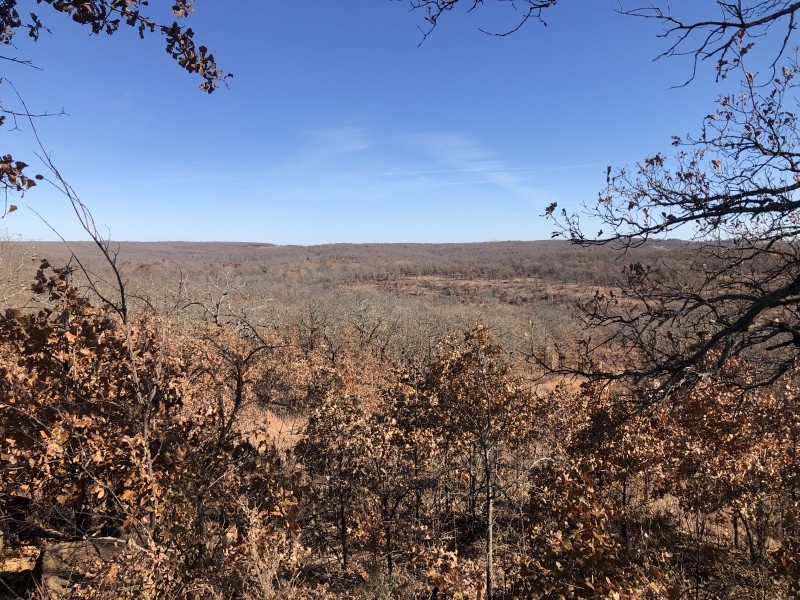 McGill Hunting Property featured image