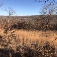 McGill Hunting Property images 3