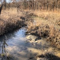 McGill Hunting Property images 4