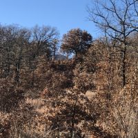 McGill Hunting Property images 5