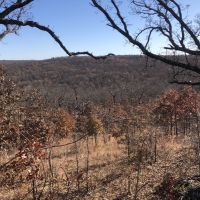 McGill Hunting Property images 6