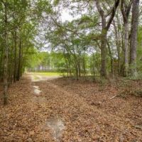 Sherrod Branch images 6