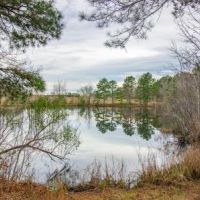 Sherrod Branch images 2
