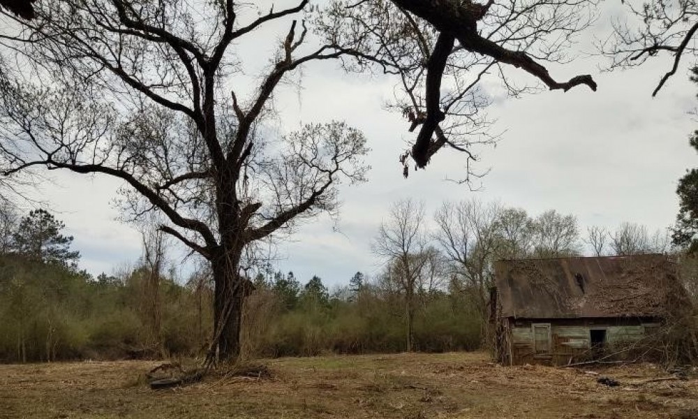 7.3 Acres in Pike County at Osyka MS Hunting Land for Sale