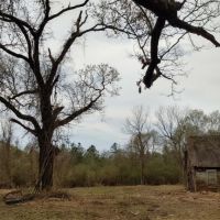 7.3 Acres in Pike County at Osyka  MS