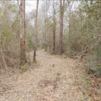 7.3 Acres in Pike County at Osyka  MS images 2
