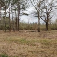 7.3 Acres in Pike County at Osyka  MS images 4