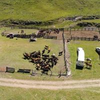 O Brien Ranch