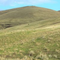 O Brien Ranch images 5