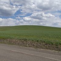 Athena Crop and Range Parcels images 5
