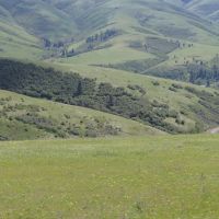Athena Crop and Range Parcels images 6