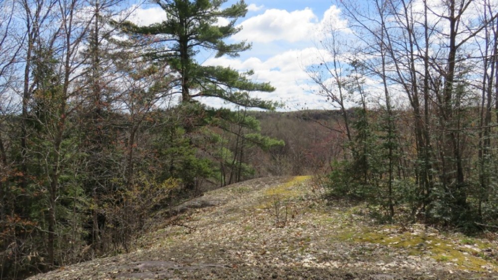 Unique Hunting and Recreational Property Iron County WI featured image