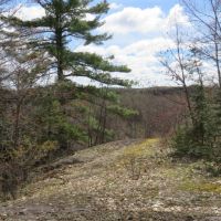 Unique Hunting and Recreational Property Iron County WI