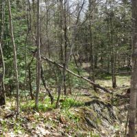 Unique Hunting and Recreational Property Iron County WI images 4
