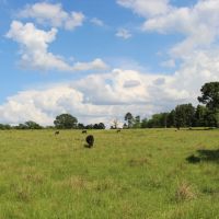 Sonrisa Ranch images 6