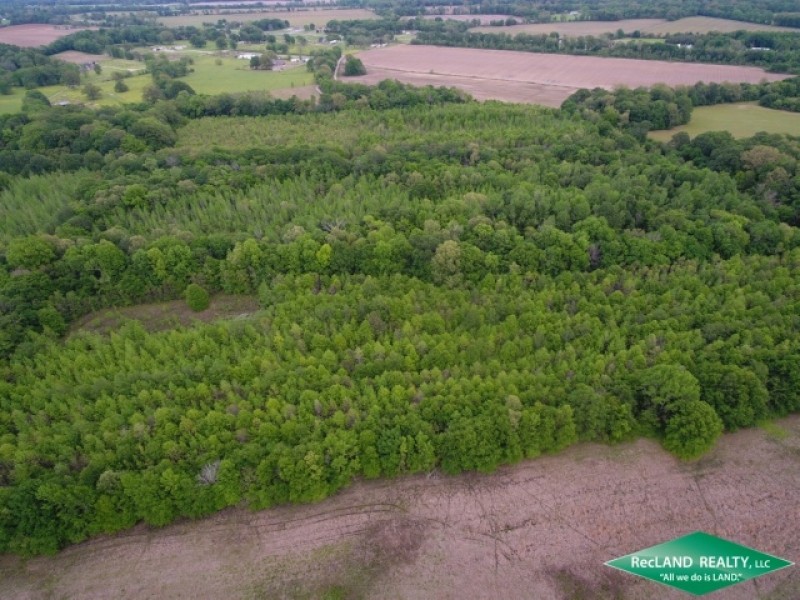 40 ac - Hunting &nbsp; CRP Income featured image