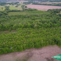 40 ac - Hunting &nbsp; CRP Income