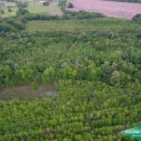 40 ac - Hunting &nbsp; CRP Income images 2