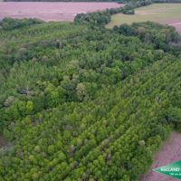 40 ac - Hunting &nbsp; CRP Income images 3