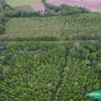 40 ac - Hunting &nbsp; CRP Income images 4