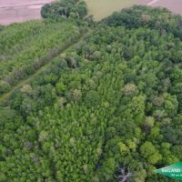 40 ac - Hunting &nbsp; CRP Income images 5